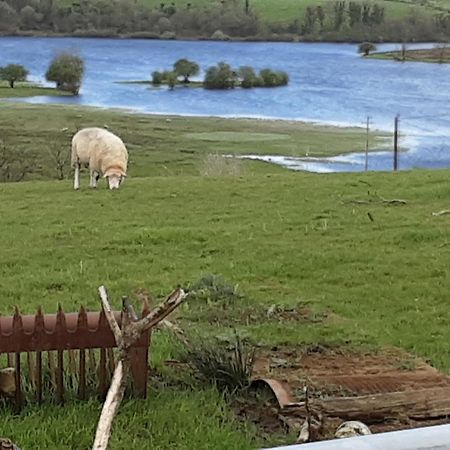 Hawthorn Lodge Belturbet Exteriör bild